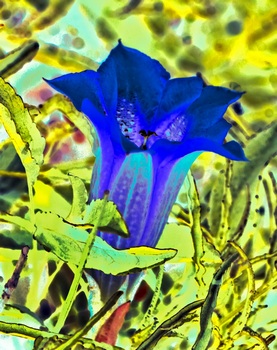 F 031C